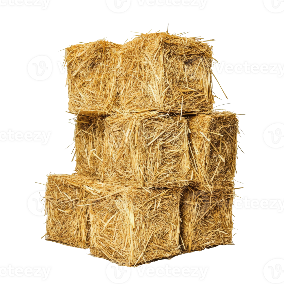Stacked hay bales in a sunny farmyard setting isolated transparent png