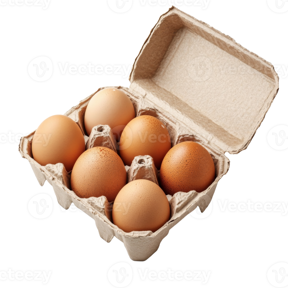 Fresh eggs in a carton ready for cooking isolated transparent png