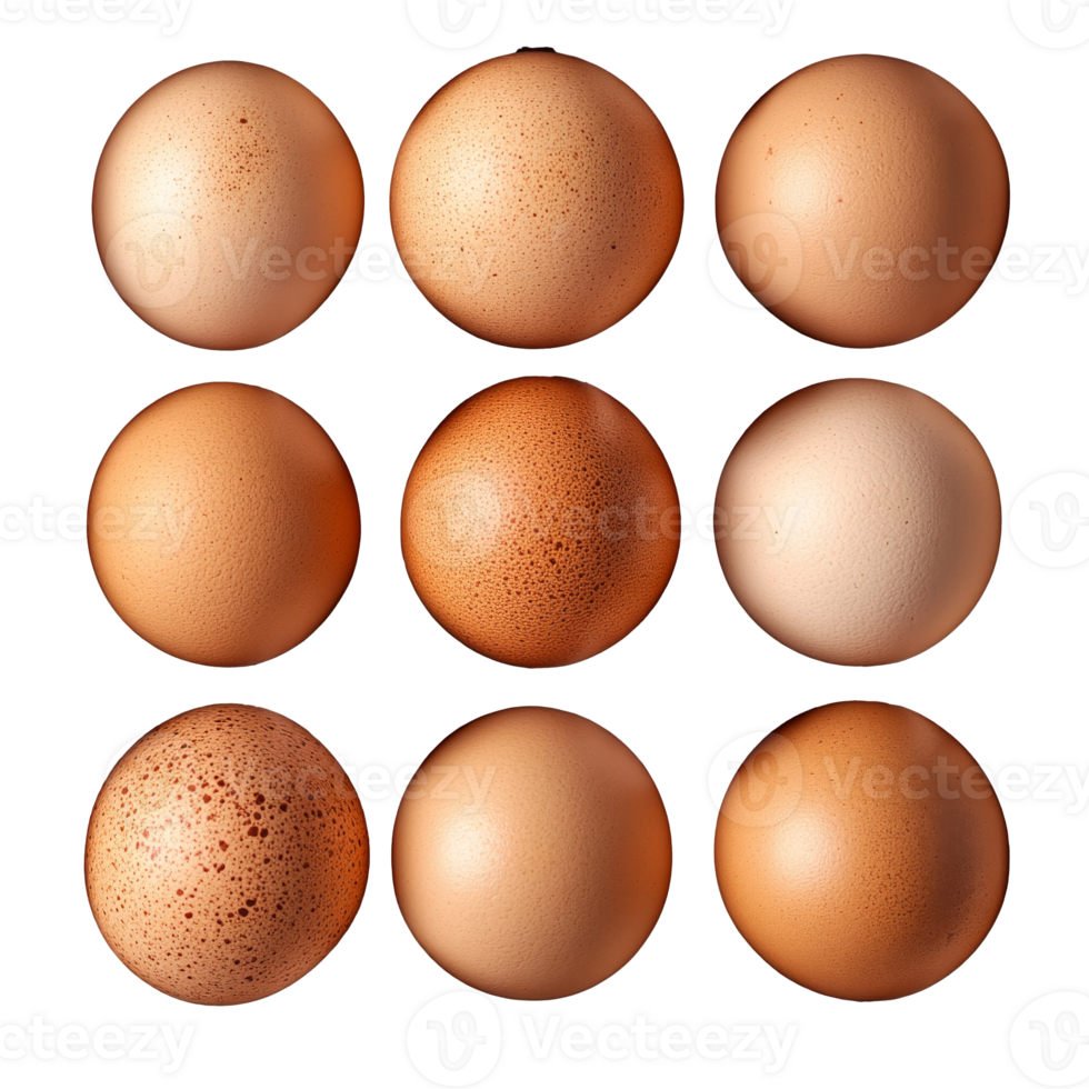 Various shades of eggs arranged in a grid pattern isolated transparent png