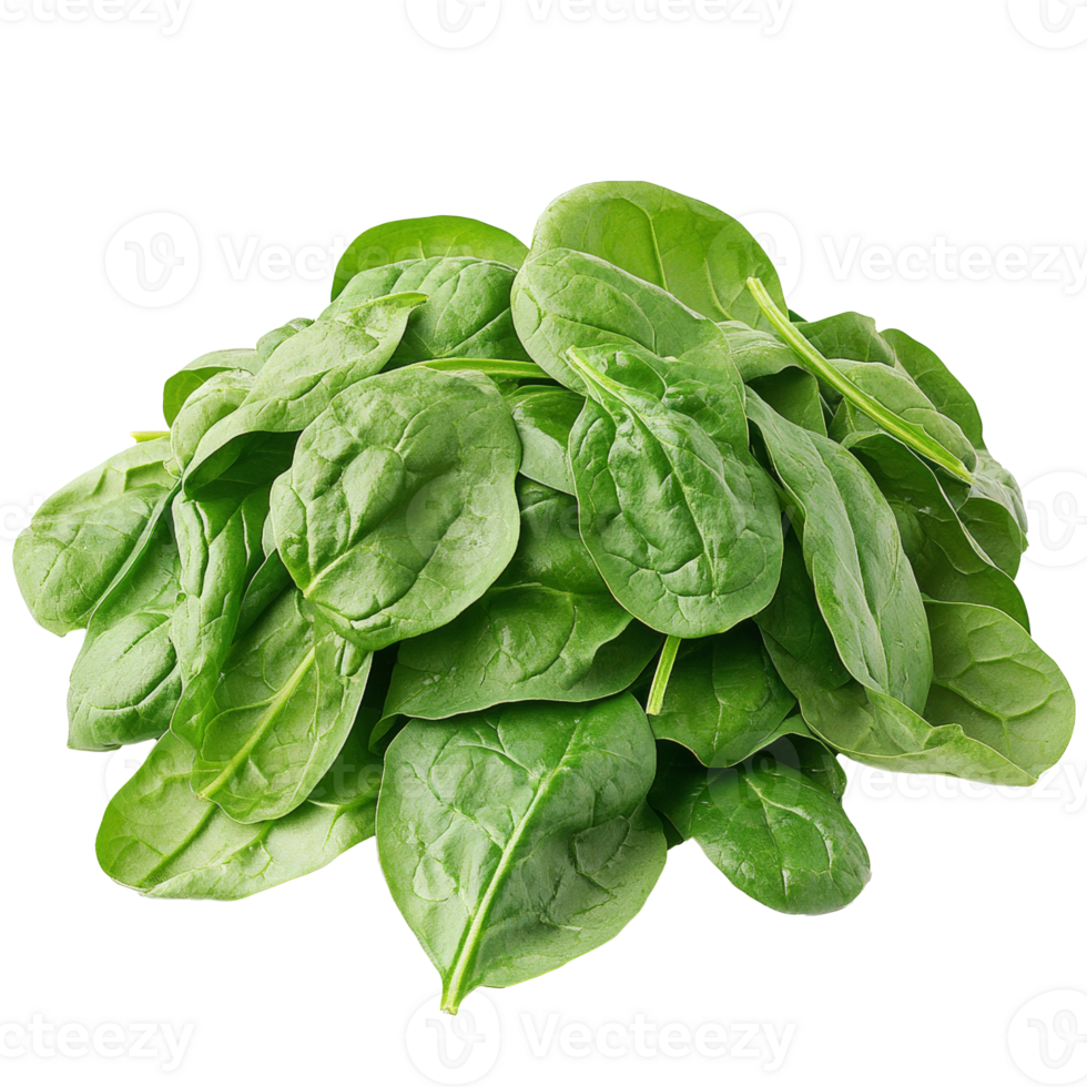 Fresh spinach leaves stacked on a white surface isolated transparent png