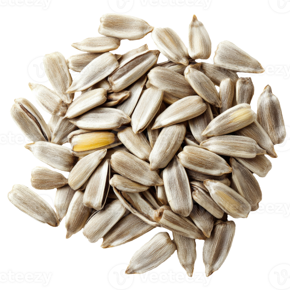 Sunflower seeds scattered on a white background isolated transparent png