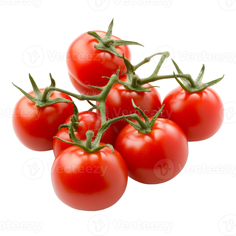 Red tomatoes with green stems isolated transparent png