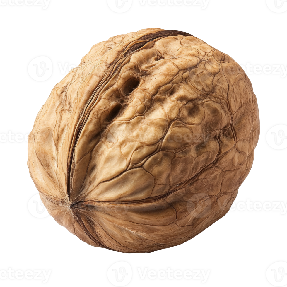 A large walnut resting on a white background isolated transparent png