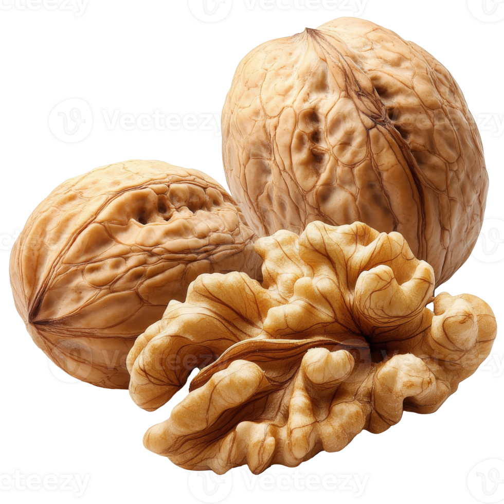Fresh walnuts in shells on white isolated transparent png