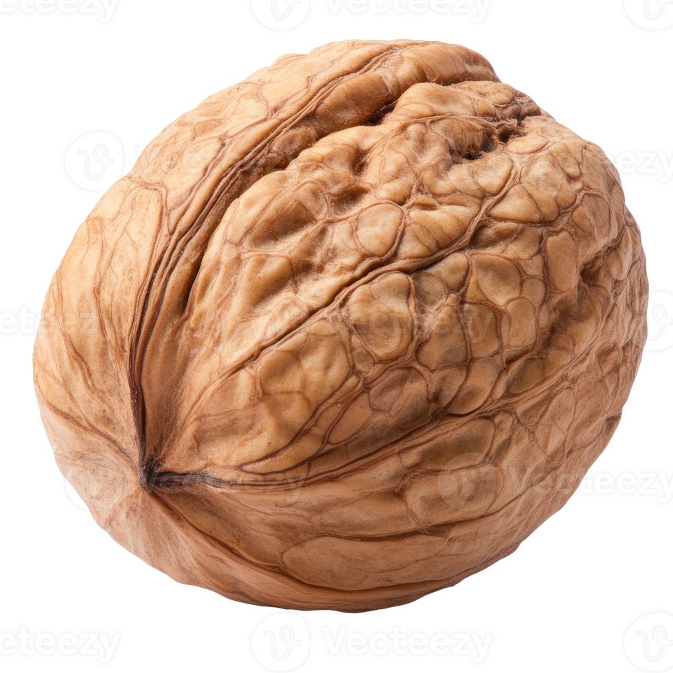 Detailed view of a walnut on a white background isolated transparent png