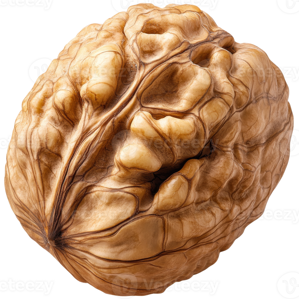 Walnut close up highlighting its texture isolated transparent png