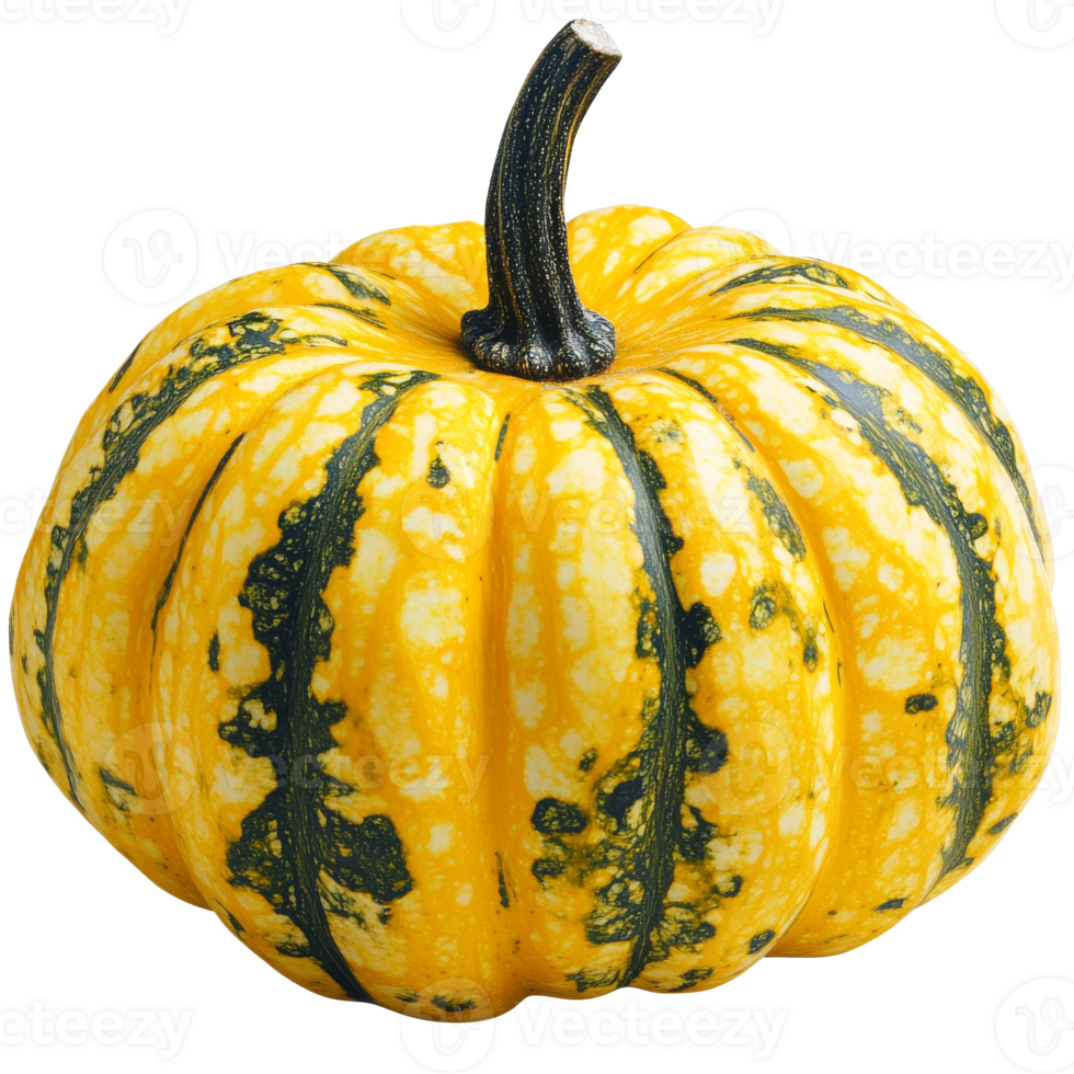 Yellow striped pumpkin on light background transparent png