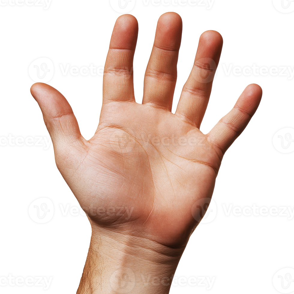 Open hand gesture against a plain background transparent png