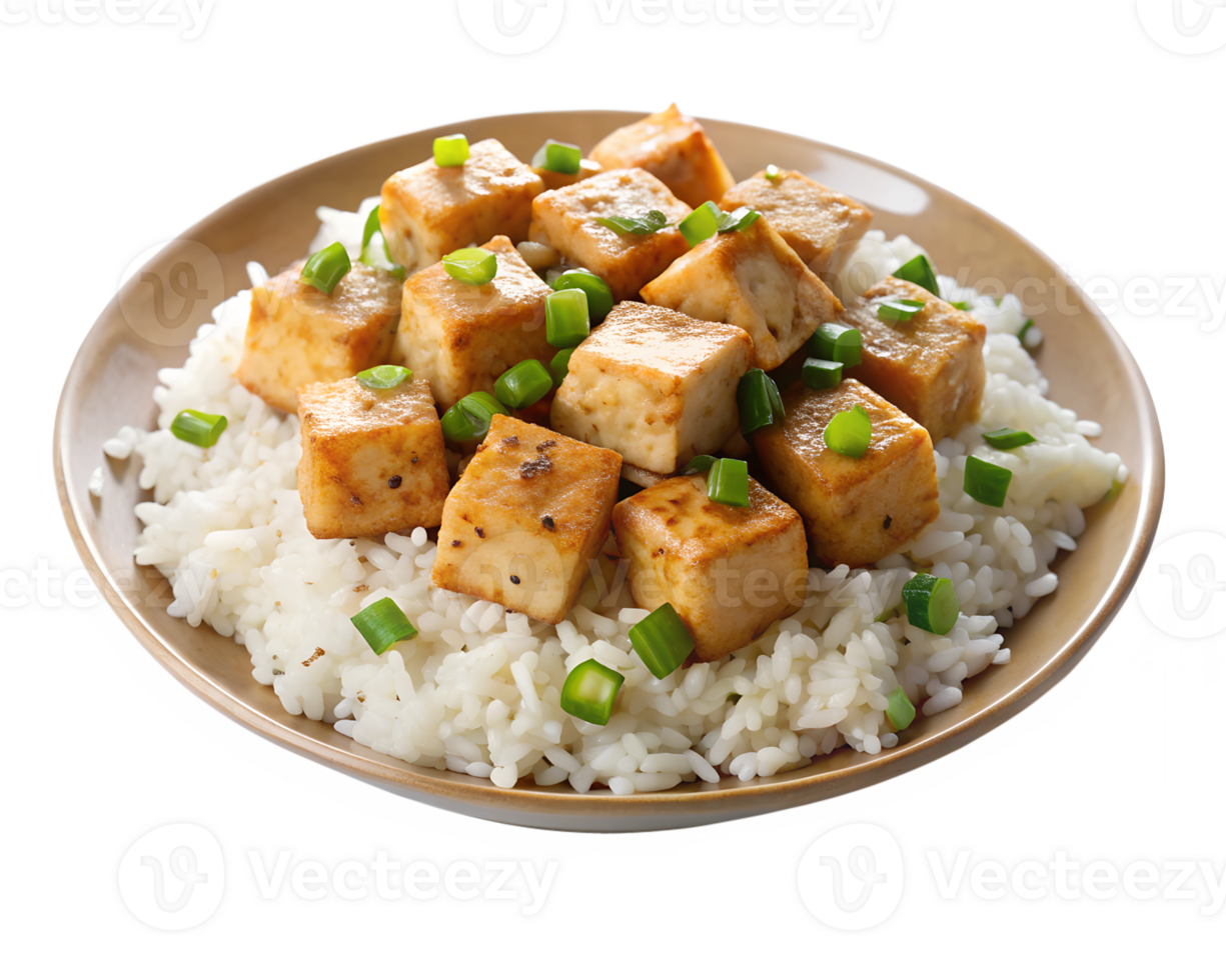 Delicious tofu served on a bed of steamed rice png