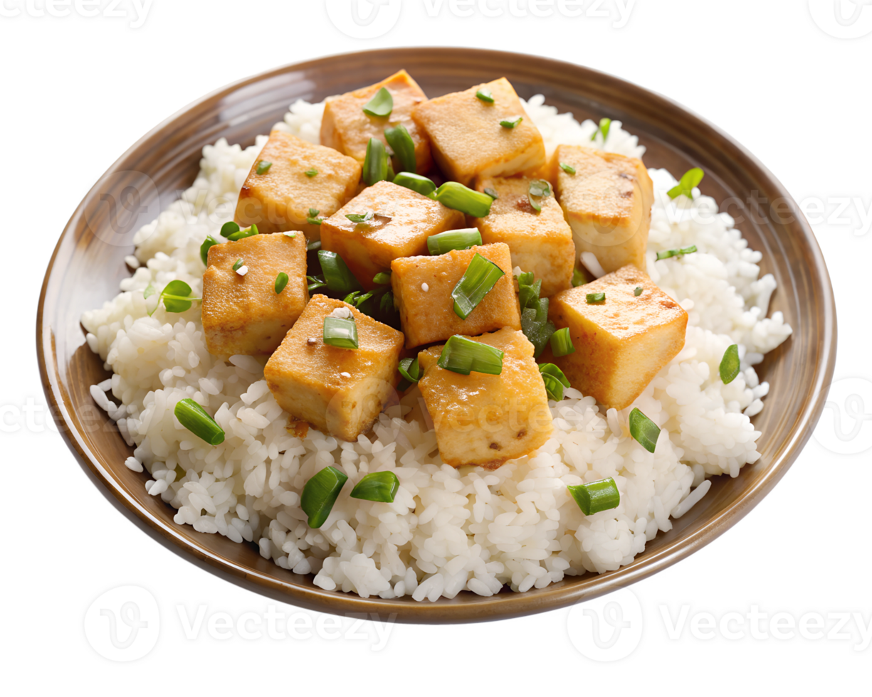 Tofu cubes on rice with green onions and sauce png