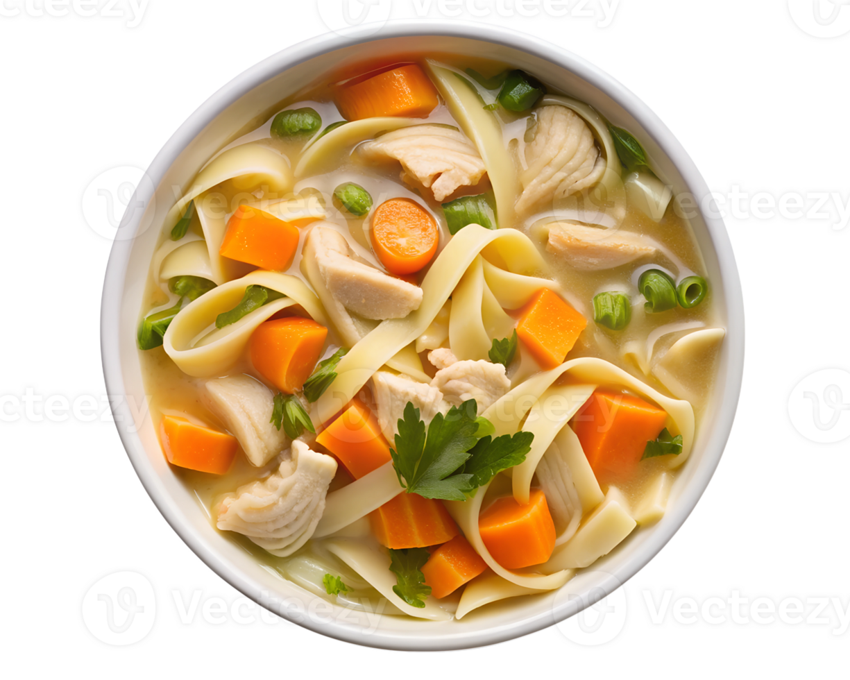 Veggie chicken noodle soup in bowl png