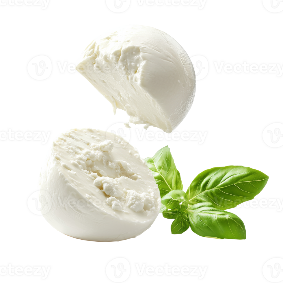 Mozzarella with basil leaves displayed png