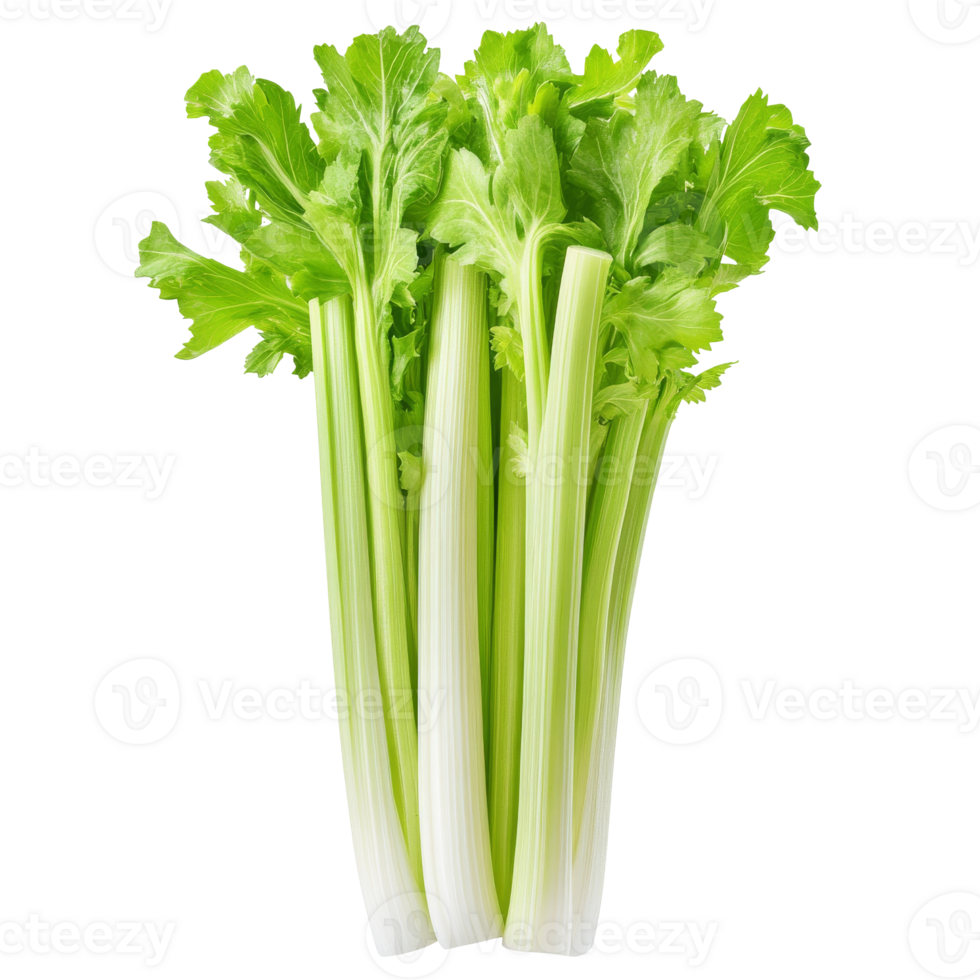 Fresh celery stalks arranged on a white background png