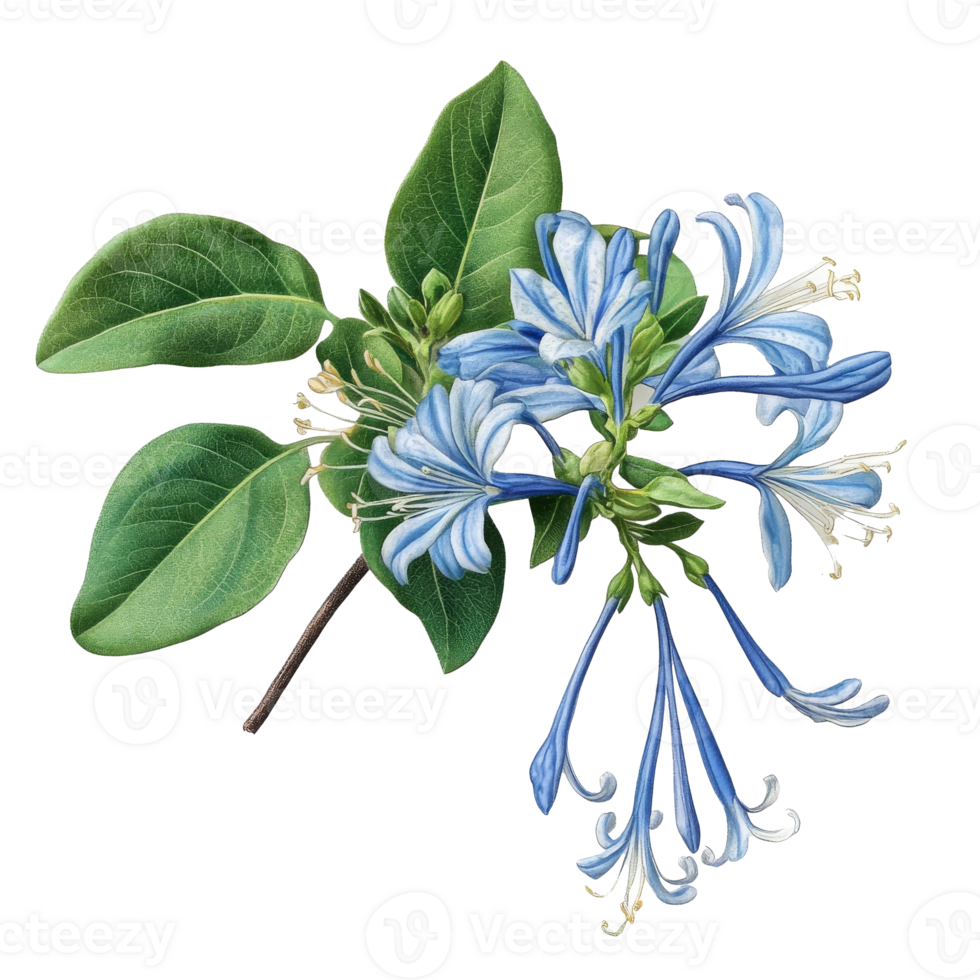 Blue flowers and green leaves in summer png
