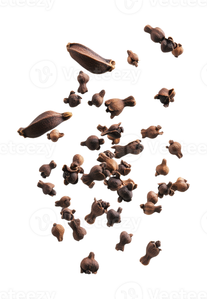 Whole cloves on white background png