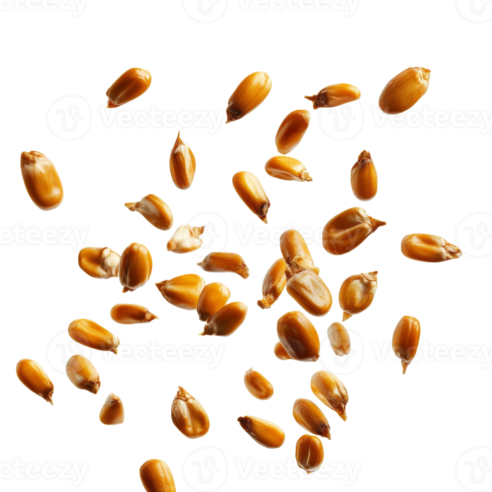 Floating brown seeds against a white background png