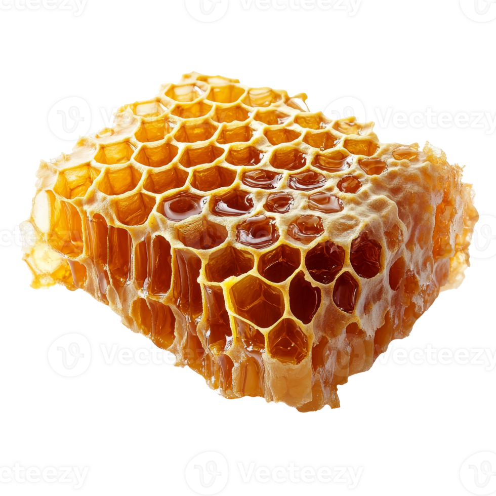 Local autumn honeycomb harvest png