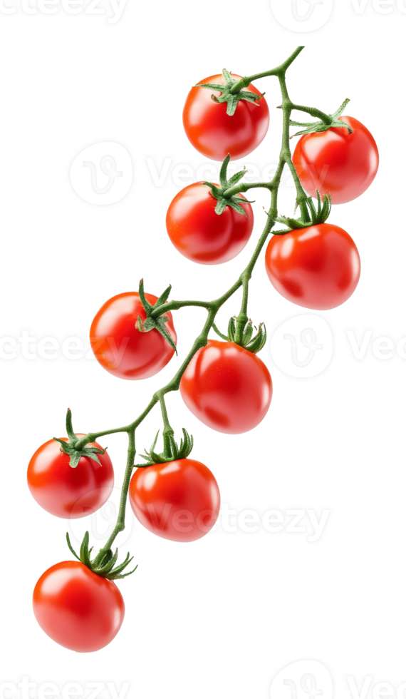 Vine ripened cherry tomatoes on white png