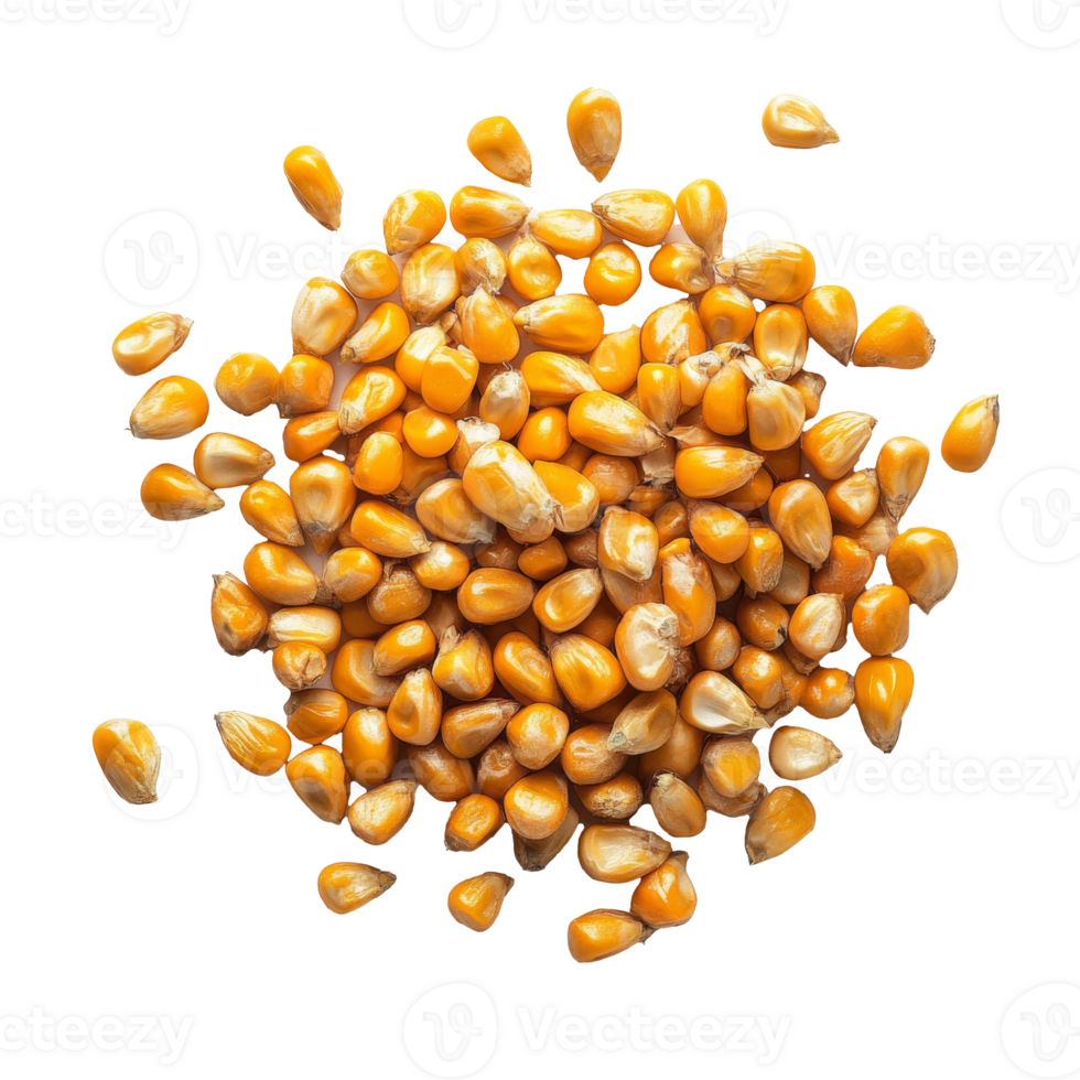 Yellow corn kernels arranged on a white surface png