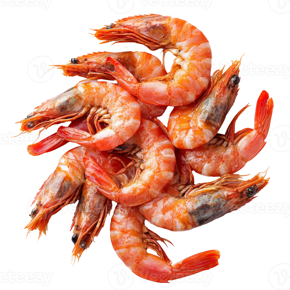 Fresh shrimp on white for cooking png