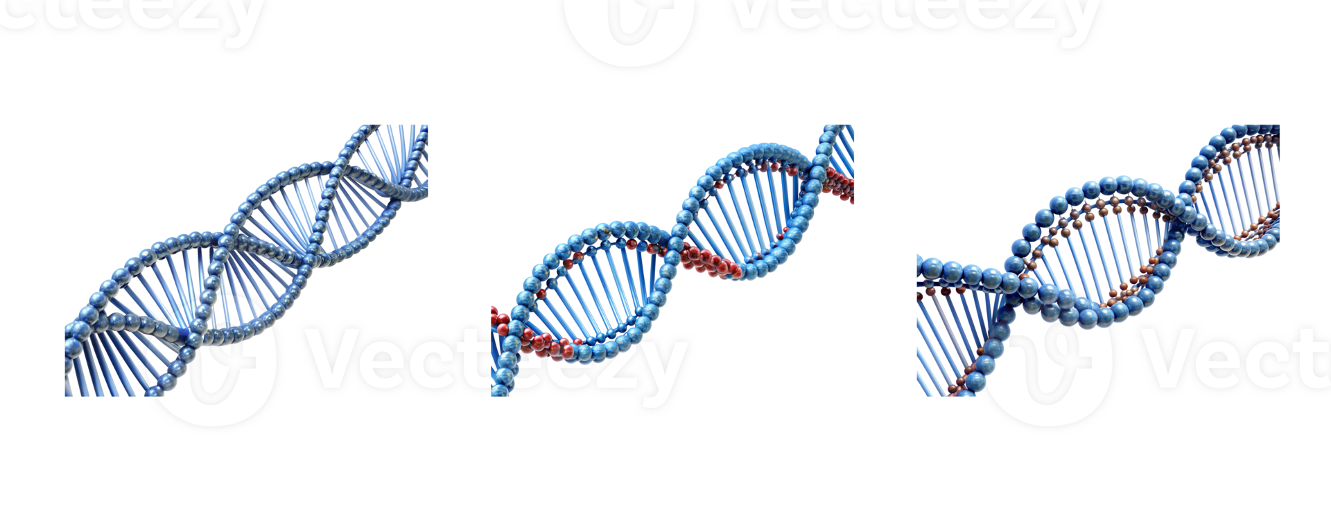 DNA structures in scientific study png