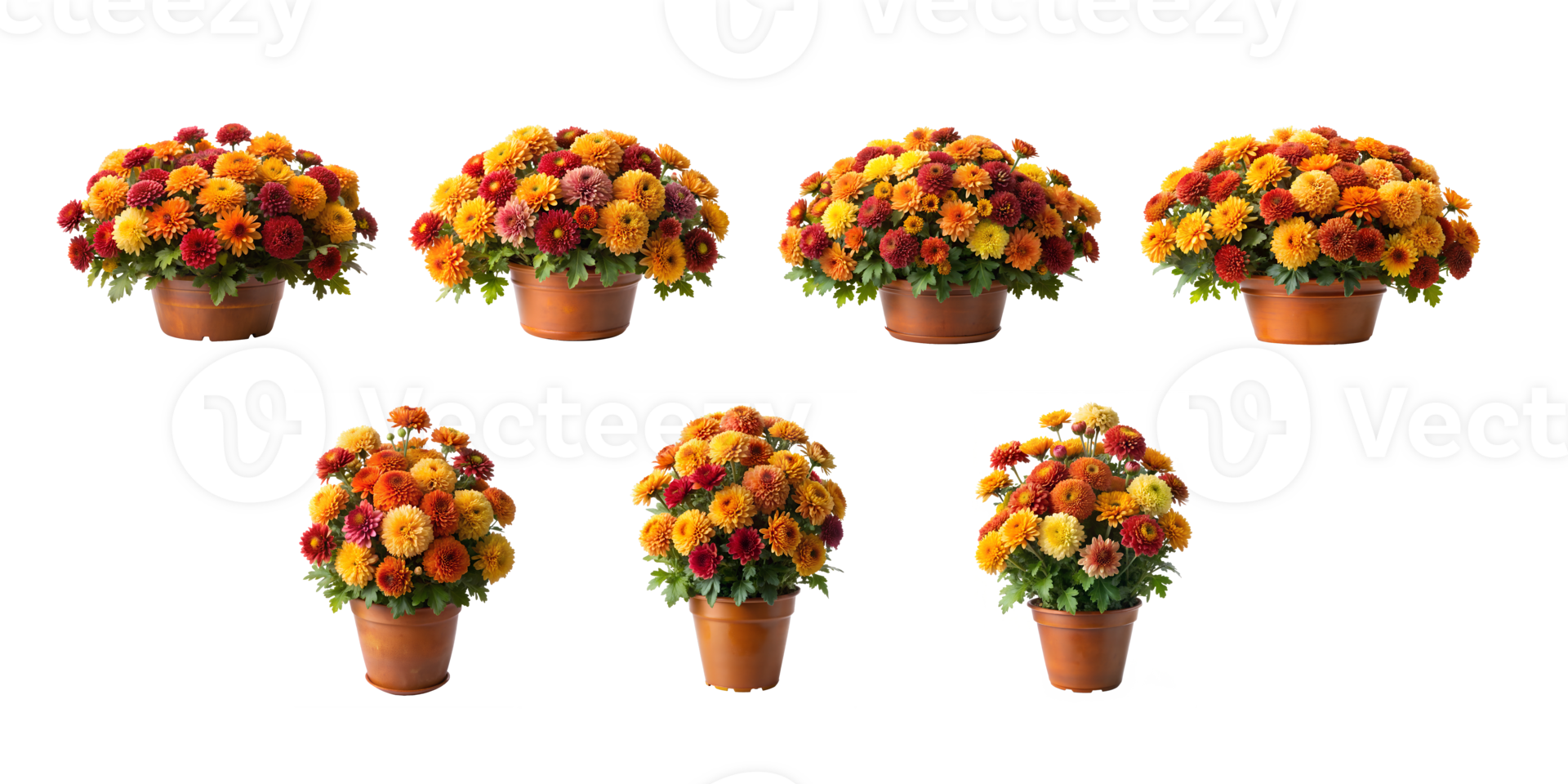 Colorful flower pots displayed in a row outdoors png