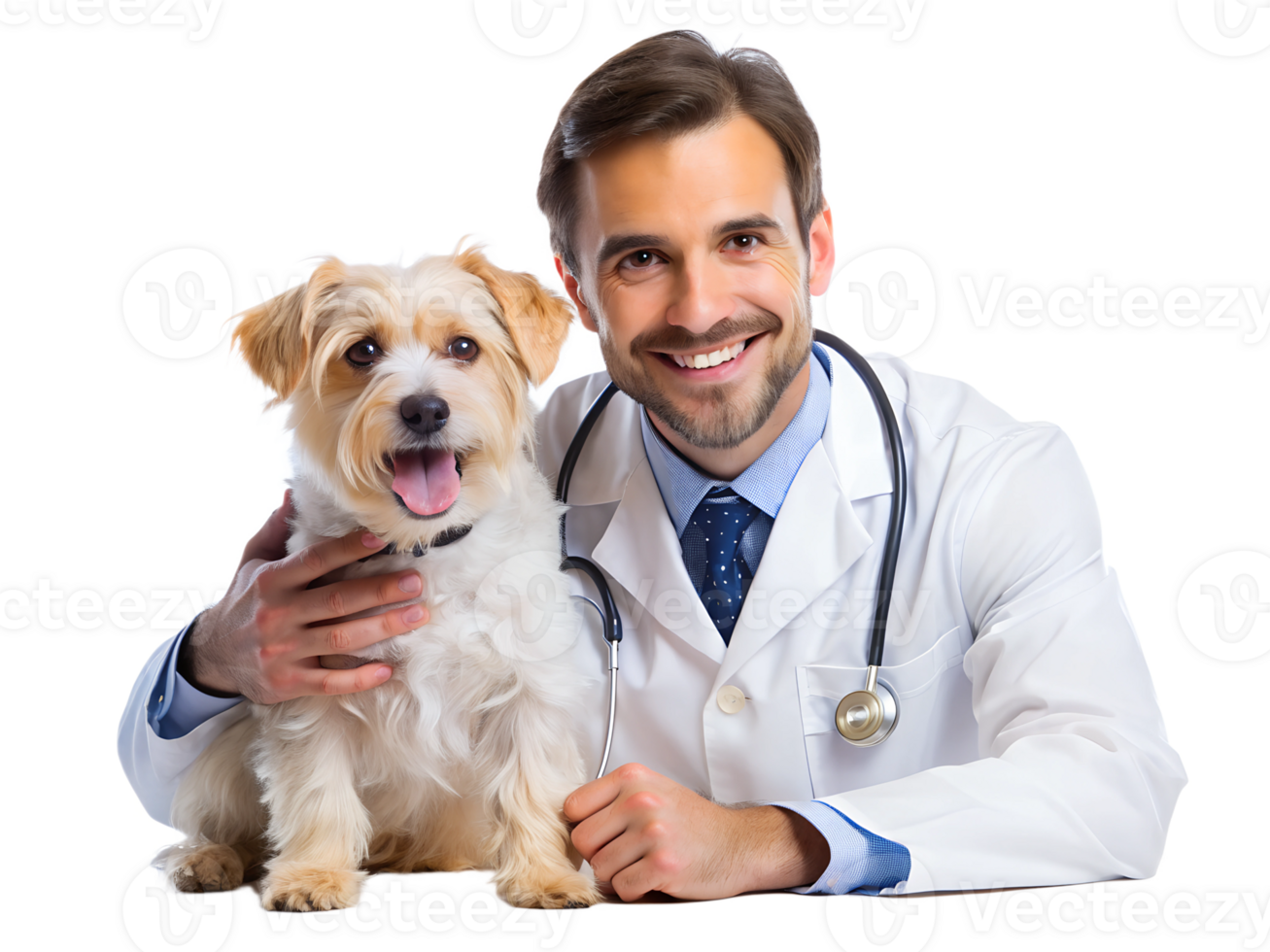 Veterinarian and happy dog posing together indoors png