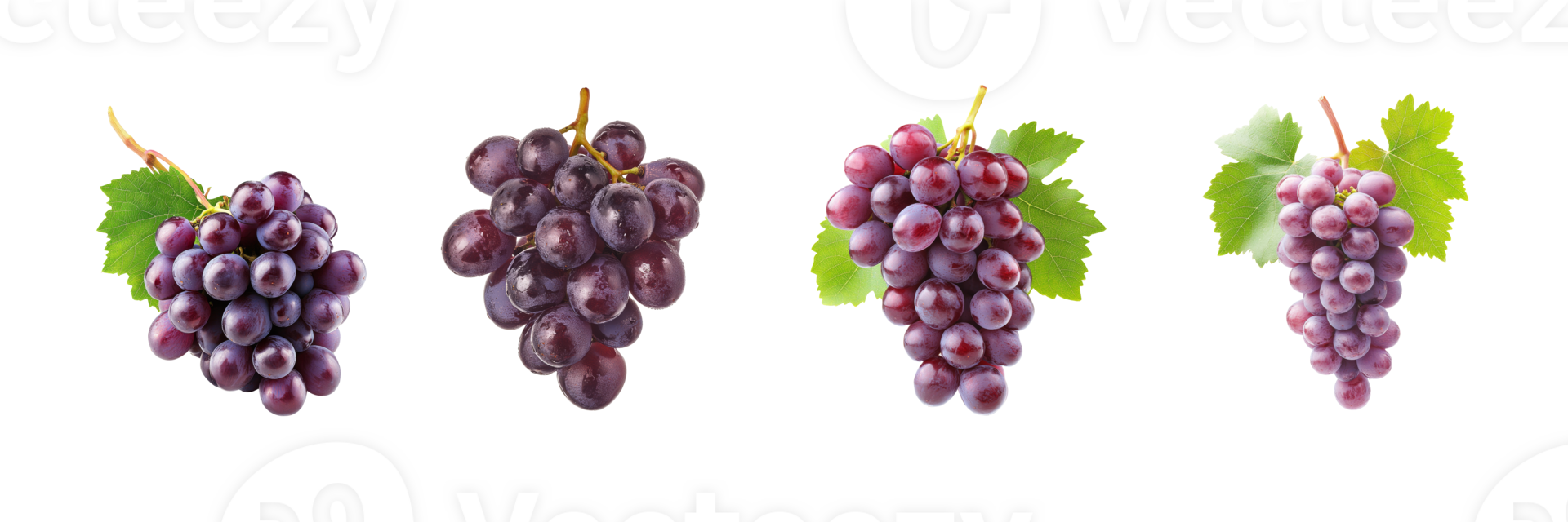 A cluster of different grape varieties on display png