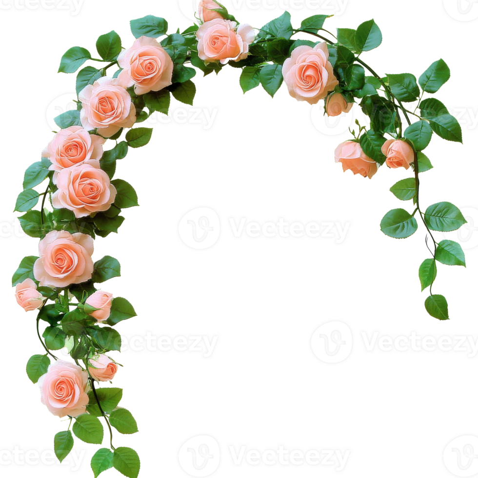 Floral arch made of peach roses and green leaves png