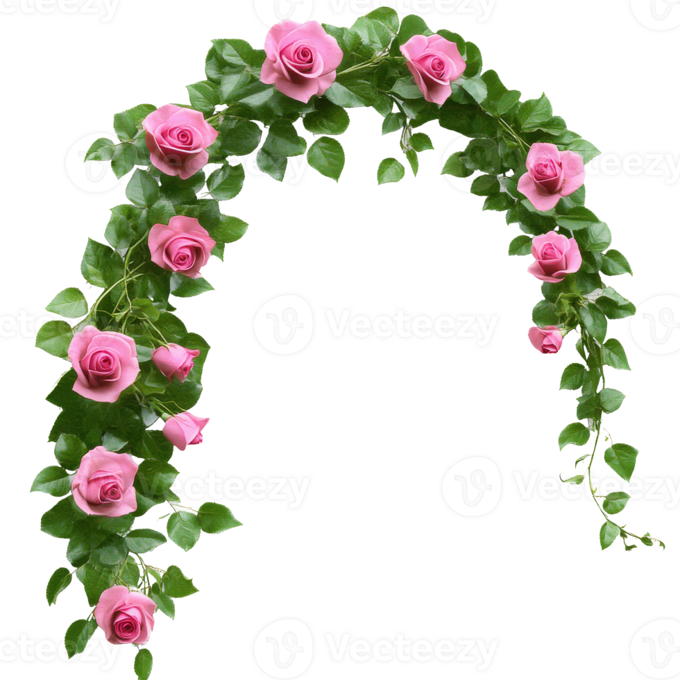 Pink rose floral arch with greenery png