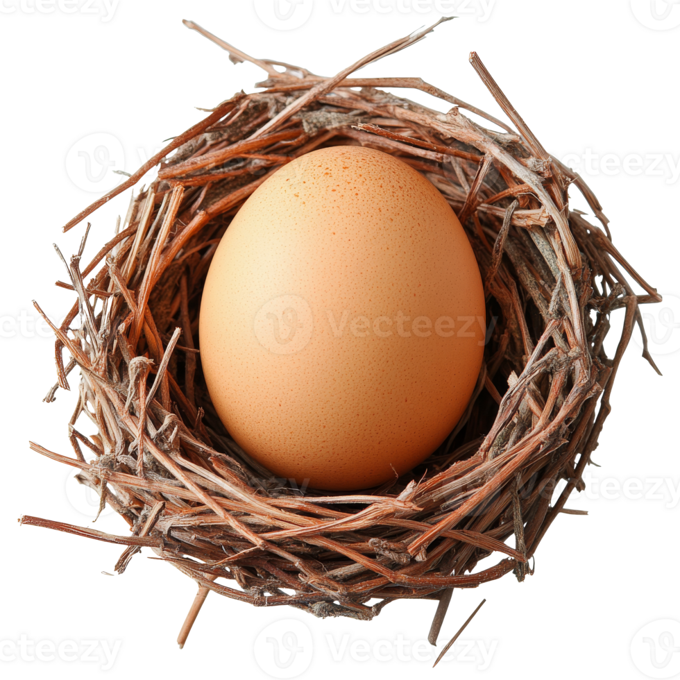 A single brown egg resting in a twig nest png