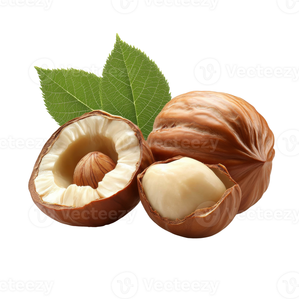 Hazelnuts with green leaves displayed png