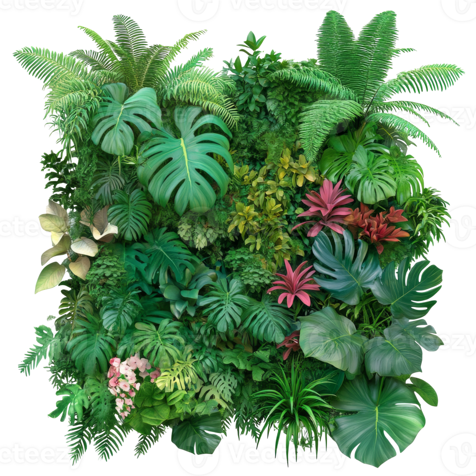 Vibrant arrangement of diverse plants png