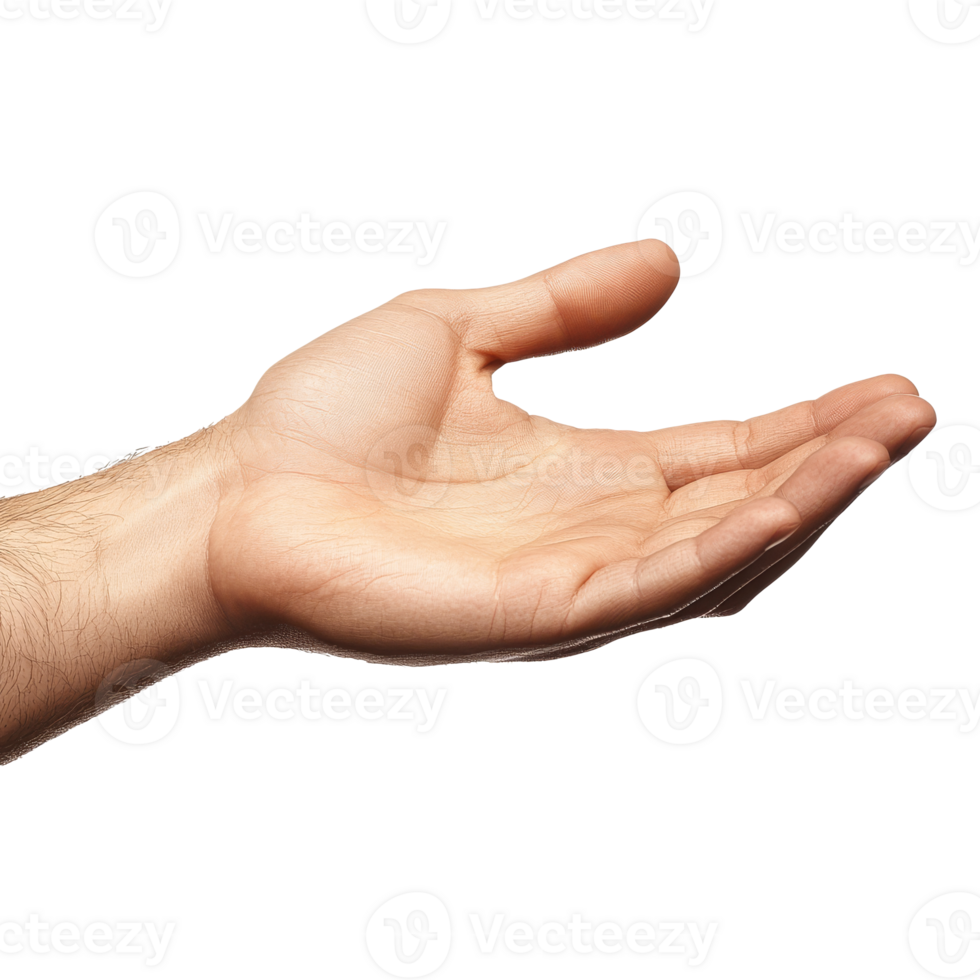Open hand reaching out in a neutral gesture png