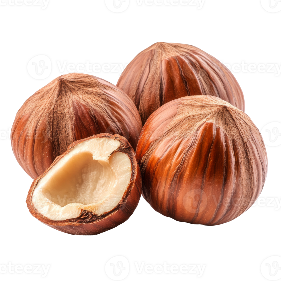 Freshly harvested hazelnuts on a white background png