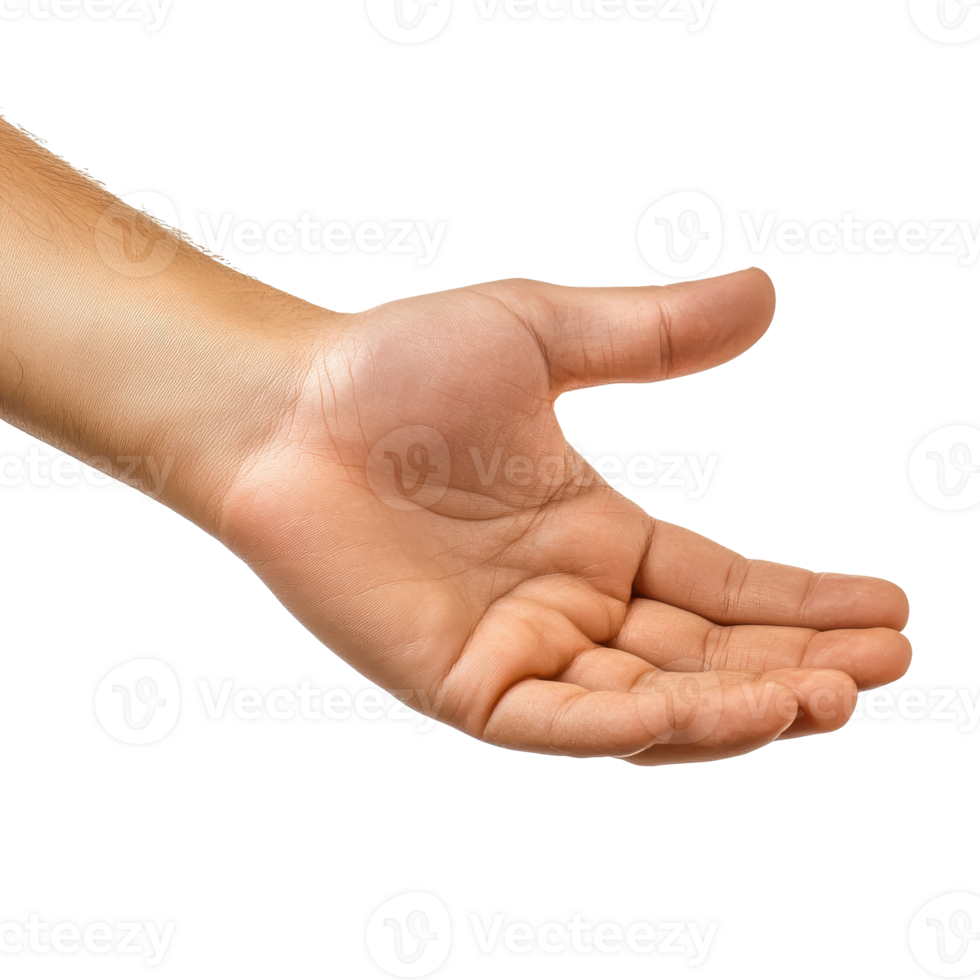 Open hand reaching out in soft light png