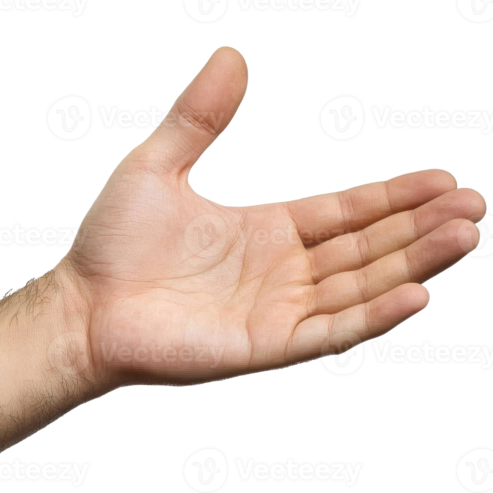Open hand for connection png