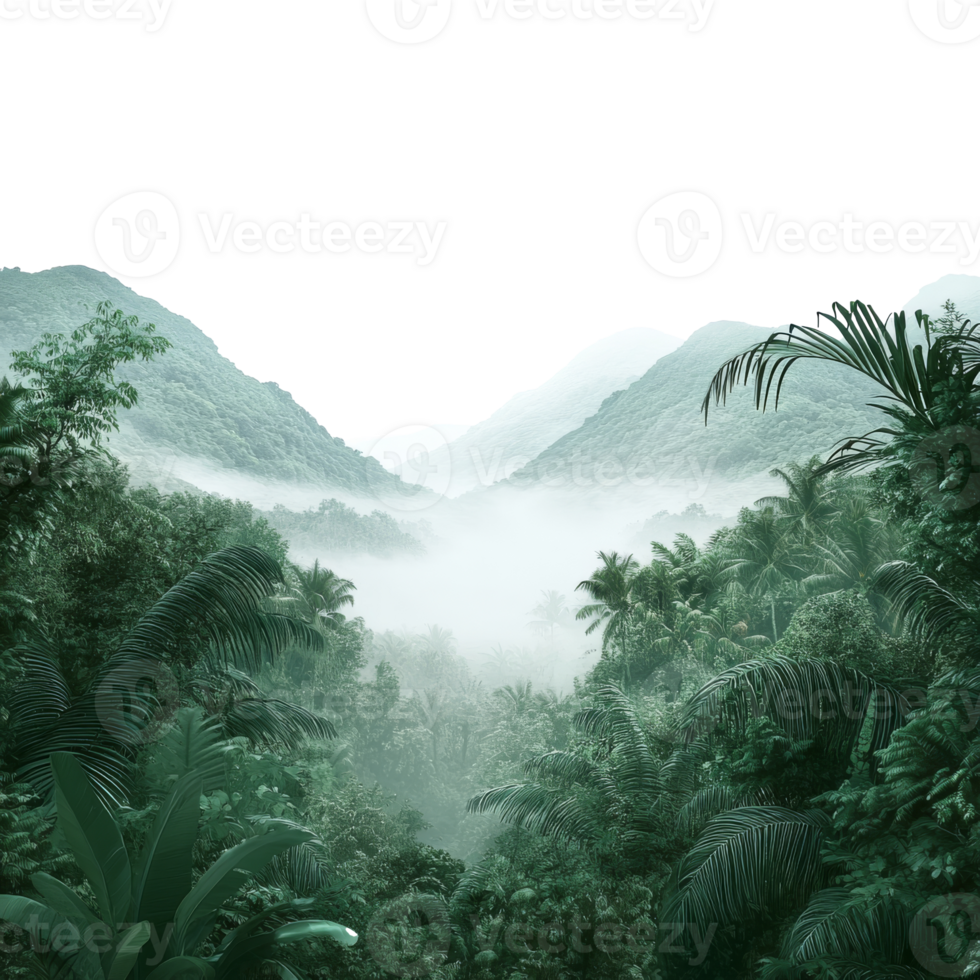 Lush green mountains shrouded in misty fog at dawn png