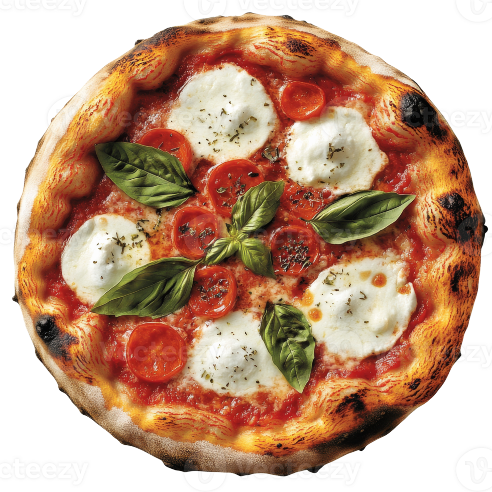 Mozzarella basil pizza, just baked png