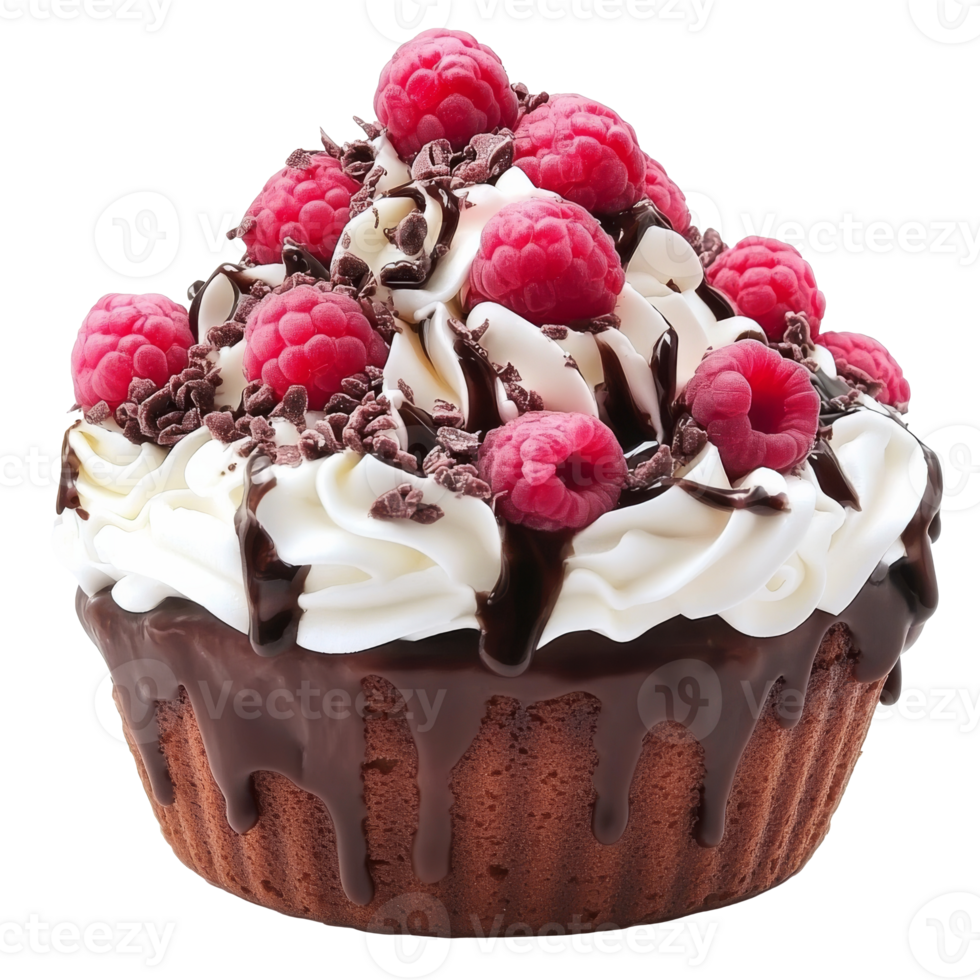 Raspberry chocolate drizzled cupcake png
