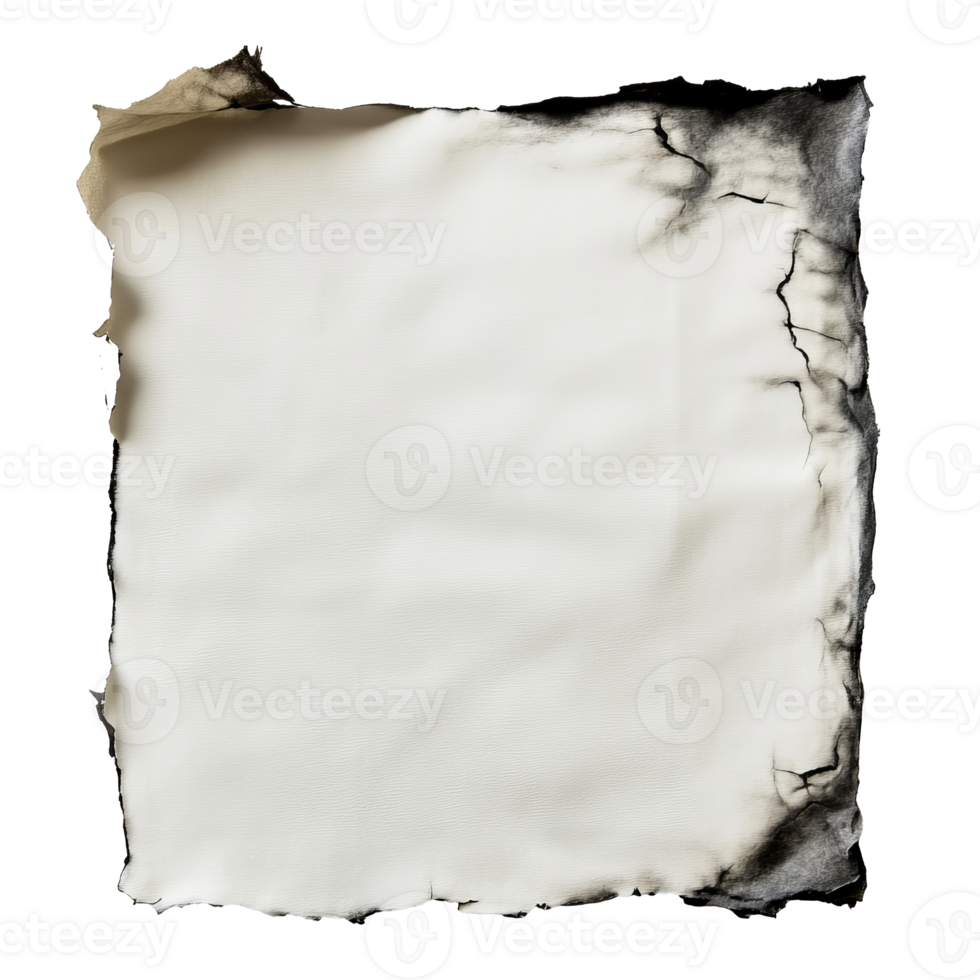 Old parchment paper with burnt edges on display png