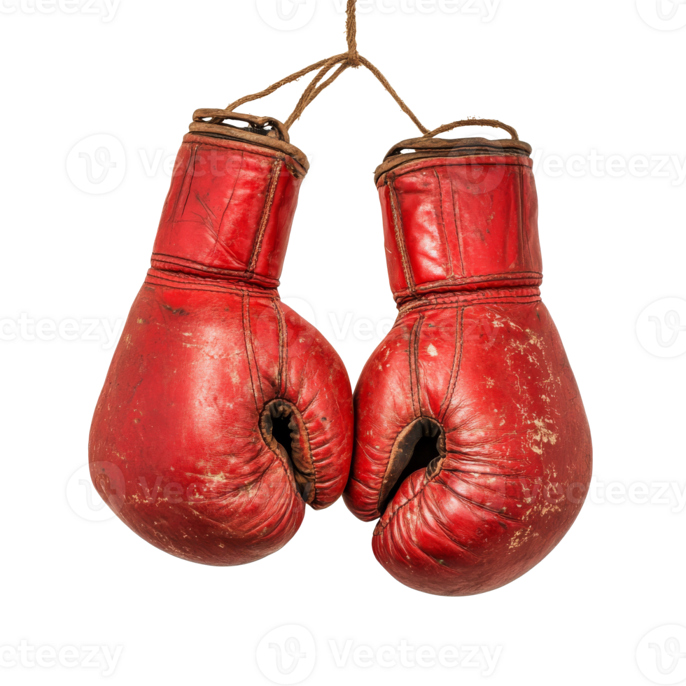 Red boxing gloves hang in bright light png