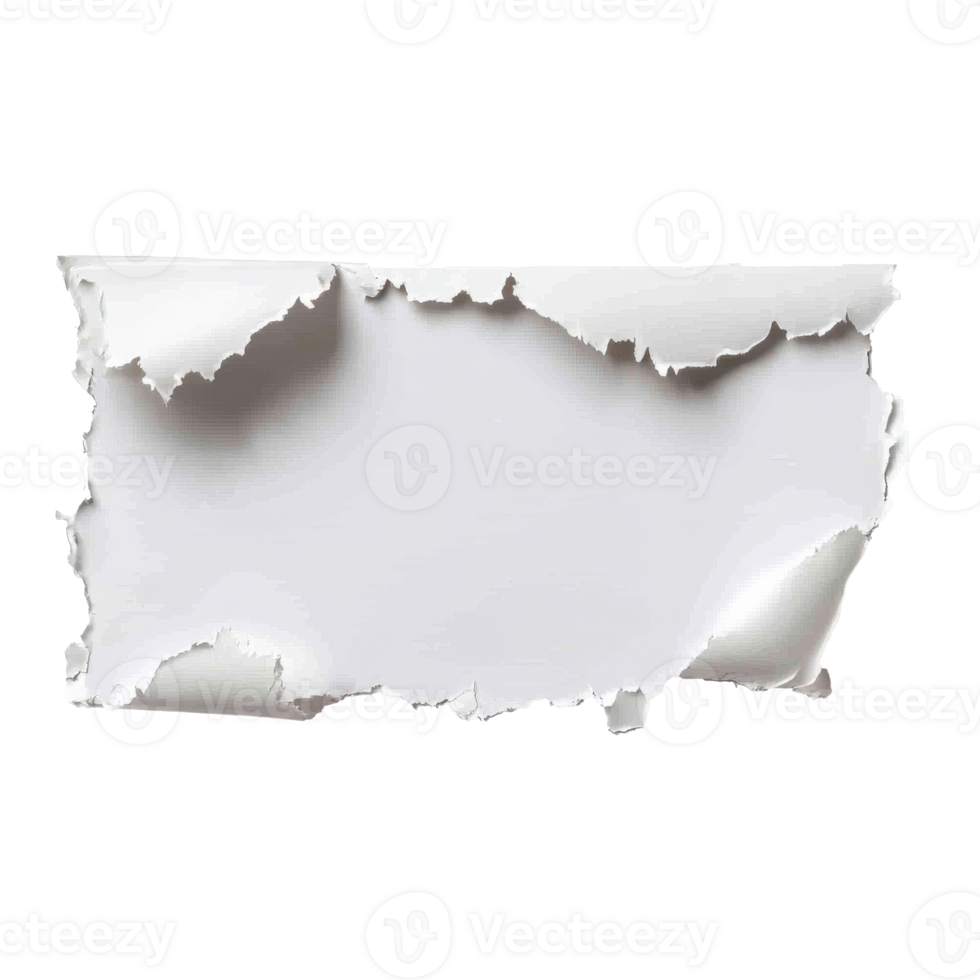 Torn paper on clean background for design png