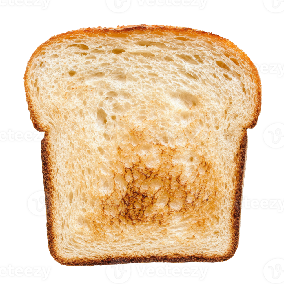tostato pane fetta vicino su nel luminosa illuminazione png
