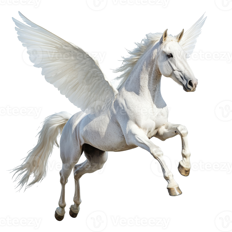 Graceful winged horse soaring high png