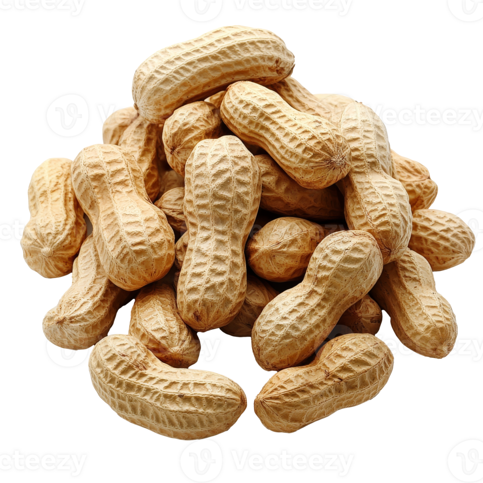 Neatly arranged raw peanuts in shells png