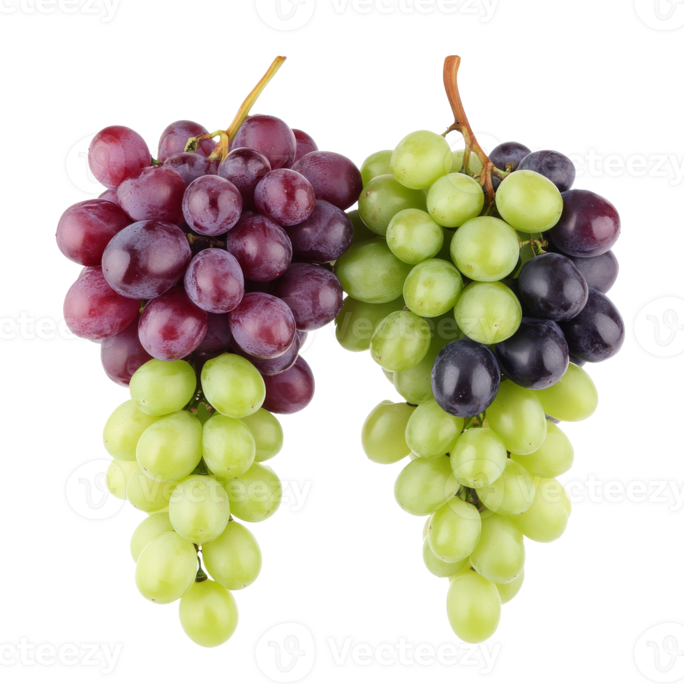 Freshly picked clusters of green and red grapes png