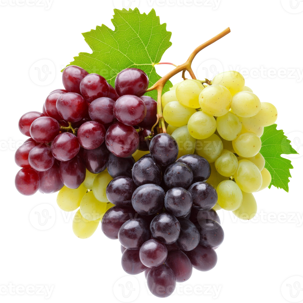 Fresh grapes in a variety of colors and textures png