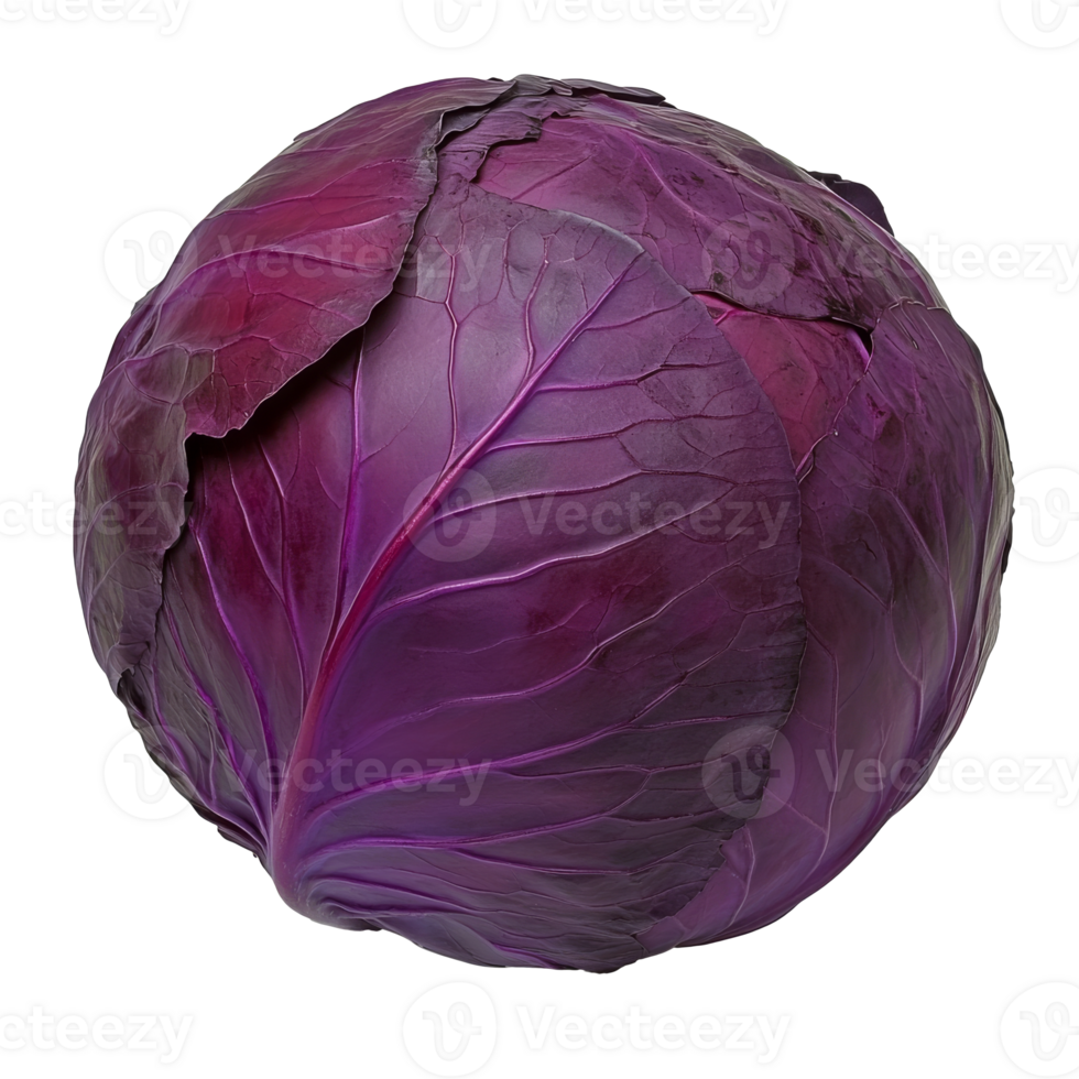 Fresh purple cabbage on white backdrop png