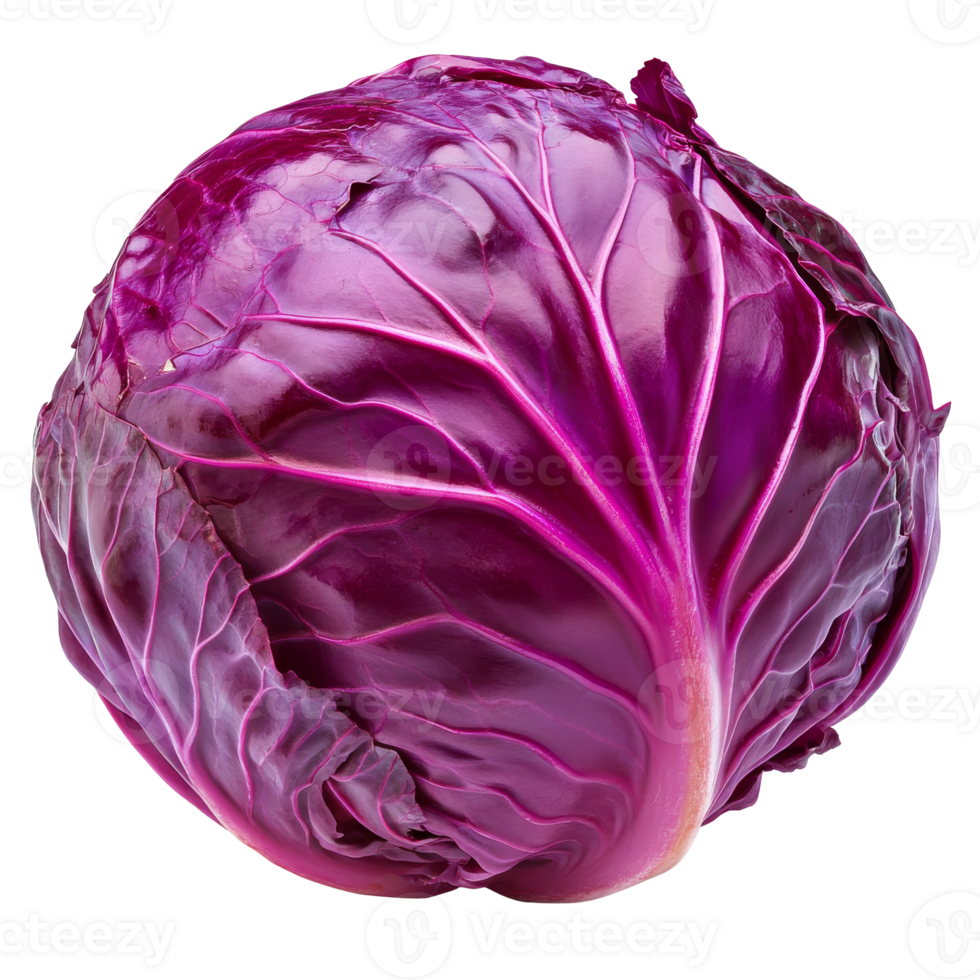 Fresh purple cabbage ready for culinary use png